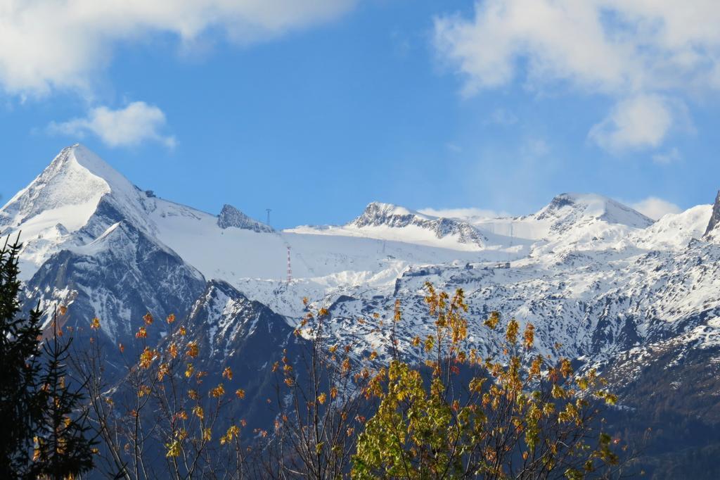 Pension Alpentraum Zell am See Cameră foto